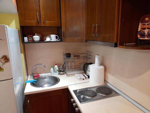 a small kitchen with a sink and a refrigerator at Гергана in Veliko Tŭrnovo