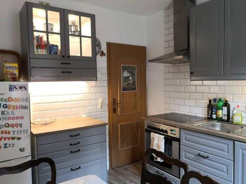 a kitchen with gray cabinets and a stove top oven at ERZGRÜN - Aktiv und entspannt im Grünen in Neue Welt