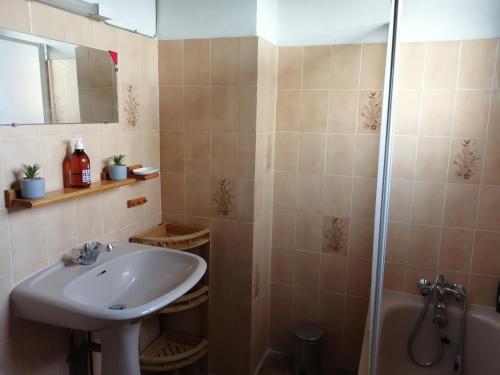 uma casa de banho com um lavatório e um chuveiro em Villa Lélou em Les Mignots