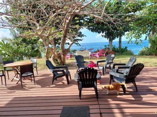 a patio with chairs and a table and a dog at Villa des Galets in Saint-Pierre