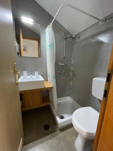 a bathroom with a shower and a sink and a toilet at Vila Noblesa Apartmaji in Most na Soči