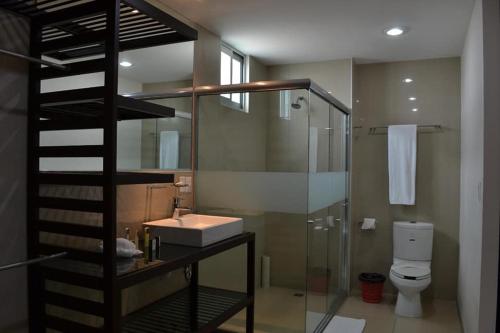 ein Bad mit einer Dusche, einem Waschbecken und einem WC in der Unterkunft Hotel Torres Eugenia in Coatzacoalcos