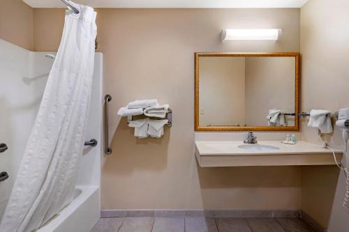ein Bad mit einer Dusche, einem Waschbecken und einem Spiegel in der Unterkunft Quality Inn & Suites Rockport - Owensboro North in Rockport