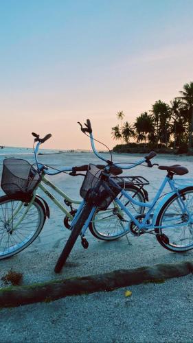 two bikes parked on the beach with birds on them at Pousada o Casarão in São Miguel dos Milagres
