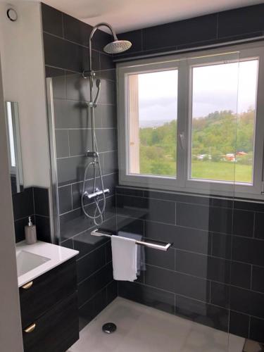 une salle de bain avec un lavabo et une fenêtre dans l'établissement Logement à Brive proche centre-ville et campagne - climatisation, Wifi, coin exterieur et parking privés, à Brive-la-Gaillarde