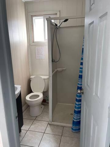a small bathroom with a shower and a toilet at Wasaga Beach Cottage 2 in Wasaga Beach