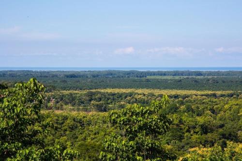 an aerial view of a forest of trees at Villa Vista Hermosa - with breathtaking ocean view & WiFI in Quepos
