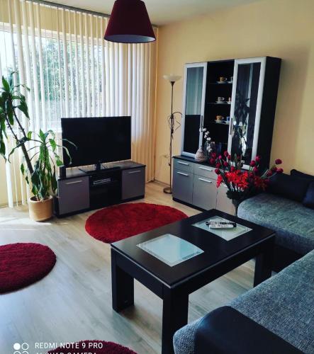 a living room with a couch and a coffee table at Pleven Sunny Apartment in Pleven