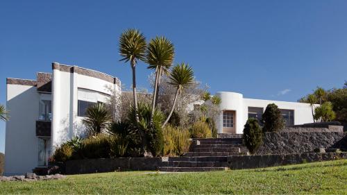 a white house with palm trees in front of it at El Crater in San Antonio