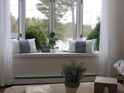 Rock Hill的住宿－Catskills Cottage By The Lake, Sullivan County，两个枕头坐在窗台上,有植物