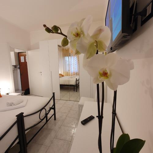 Tolstoj Metro Apartment MIlano
