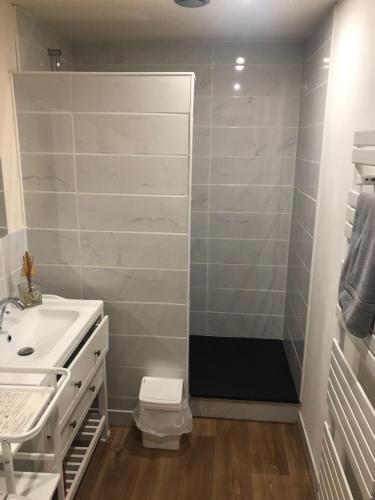 une salle de bain avec une douche, un lavabo et des toilettes dans l'établissement Appartement Alpin, à Bourg-Saint-Maurice