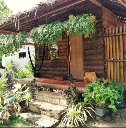 a small wooden house with plants in front of it at Payag n' Kapitan, Experience pinubre living in Siquijor