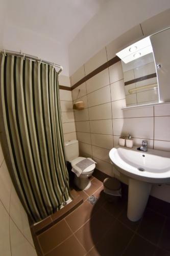 a bathroom with a shower curtain and a sink at Dinos Studios in Paralía Kanalíou