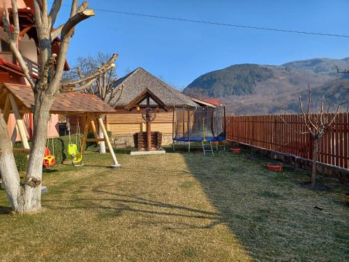 a yard with a house with a fence and a playground at Casa dintre munti Karina in Nehoiu