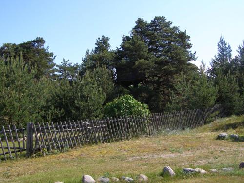 a fence on top of a hill with trees at Treimani Puhkemaja in Treimani