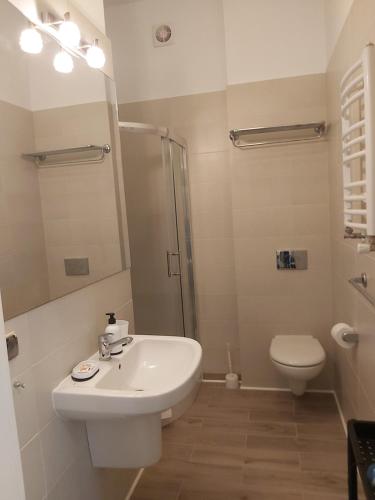 a bathroom with a sink and a shower and a toilet at Villa Lessing in Polanica-Zdrój