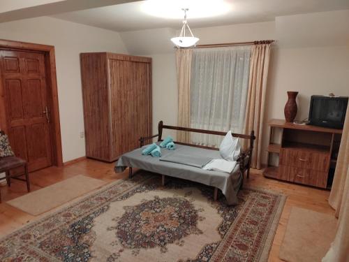 Un dormitorio con una cama y un televisor. en La Șicu, en Breaza