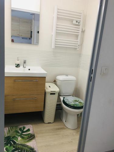 une salle de bain avec toilettes, lavabo et miroir dans l'établissement studio cosy et moderne au couchant situé 150m de la plage -avec PARKING GRATUIT PRIVE - 25m2 - climatisé - balcon - wifi gratuit, à La Grande Motte