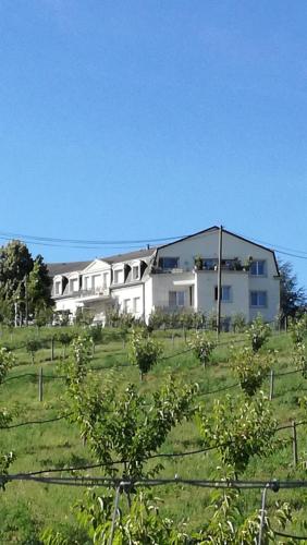 un grand bâtiment blanc dans un champ arboré dans l'établissement GÎTE PRÈS DE LA FERME, à Pfastatt