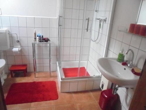 a bathroom with a shower and a sink and a tub at Ferienwohnung Bergfeld in Bergfeld