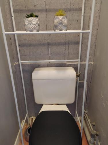 two plants on shelves above a toilet in a bathroom at Sun & Sea Apart in Bandol