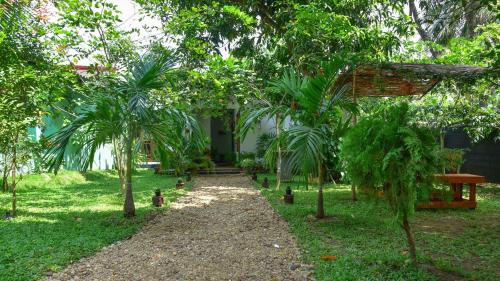 a path in front of a house with palm trees at Menara Green Inn in Dambulla