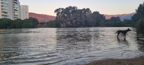 Φυσικό τοπίο κοντά σε αυτό το διαμέρισμα