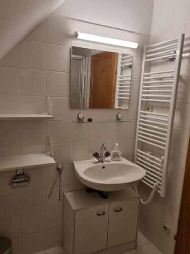 a bathroom with a sink and a mirror at S-apartment Wiedweg in Wiedweg