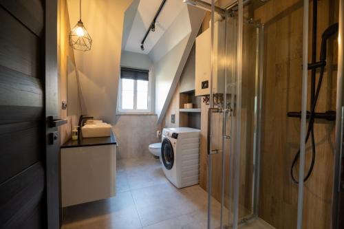 a bathroom with a washer and dryer in it at BanApart Exclusive Apartments in Zgorzelec