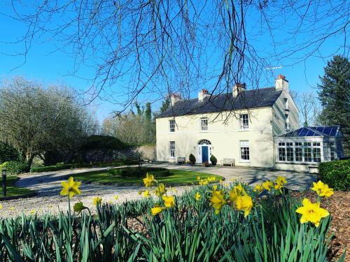 Κήπος έξω από το Larchmount House B&B