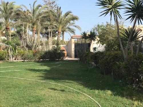 Κήπος έξω από το The White Oasis Family Villa