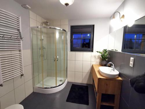 a bathroom with a glass shower and a sink at Domek Socałówka in Sułkowice