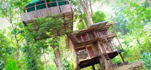domek na drzewie w środku lasu w obiekcie Jungle Jive Tree House w mieście Munnar