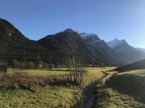 a stream in a field with mountains in the background at Katja´s Ferienwohnung in Trins