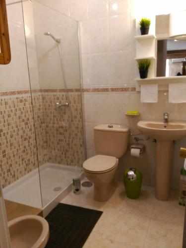 a bathroom with a toilet and a shower and a sink at CONFORTABLE, BRIGHT, WELL LOCATED APARTMENT in Morro del Jable
