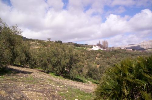 Chalet de montaña Casa Francisca (España Antequera) - Booking.com
