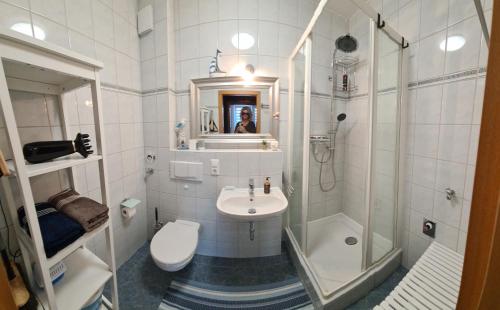 a bathroom with a sink and a shower and a toilet at OstSEESTERNchen Zempin in Zempin