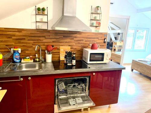 a kitchen with a dishwasher and a microwave on a counter at Aux Lofts de VERDUN in Verdun-sur-Meuse