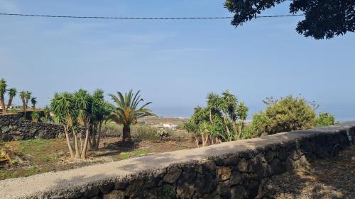 a stone wall with palm trees in the background at Casa Villamaravilla II, Isla de El Hierro in Frontera
