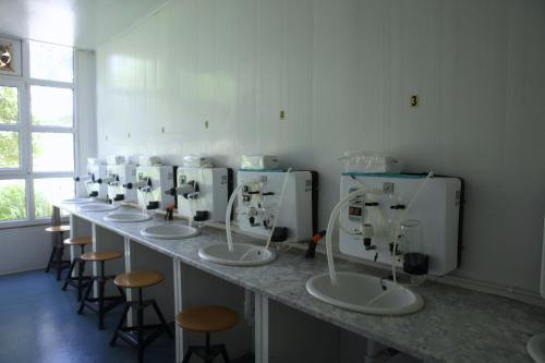 a row of sinks in a bathroom with stools at Hotel Termas de Liérganes in Liérganes