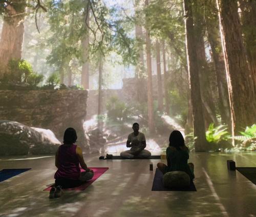 a group of people sitting on the floor in a forest at Hotel La Casa de los Árboles Immersive Experience in Zacualpan de Amilpas