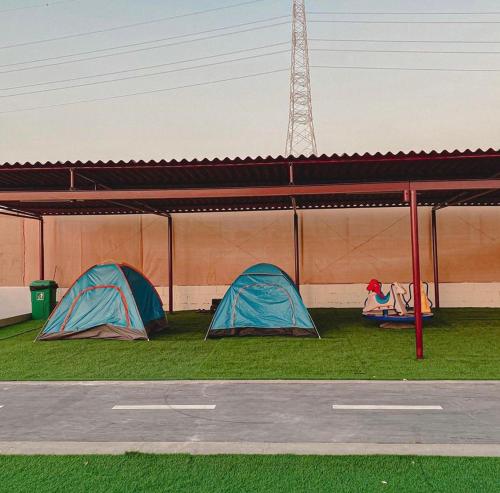 two tents sitting on the grass next to a street at Hideout Farmhouse - By Seven Elements in Ras al Khaimah