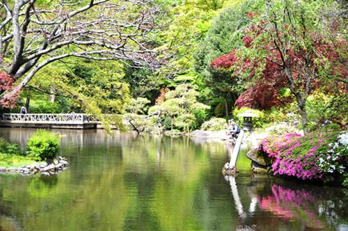 ゲストハウスの近くで見られる自然の景観