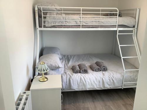 a bedroom with two bunk beds and a desk at Bankswood in Dumfries