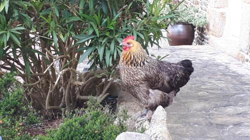 Les sources – Photos 5