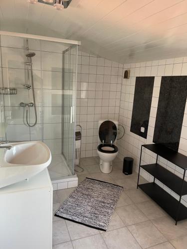 uma casa de banho com um WC, um lavatório e um chuveiro em Ferienwohnungen Marek em Ravelsbach