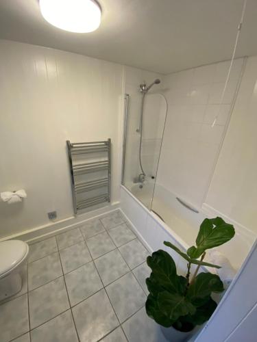a bathroom with a shower and a toilet and a plant at Cheerful one bedroom cottage in Mousehole. in Mousehole