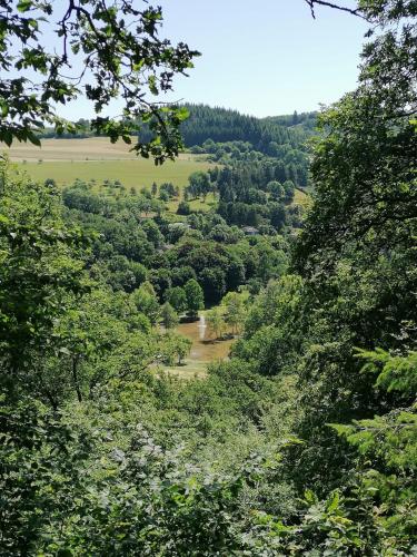 a view of a river through the trees at Ferienwohnung Die Alte Schule in Daun