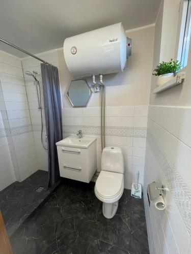 a small bathroom with a toilet and a shower at Dizrobeznieki in Veldze